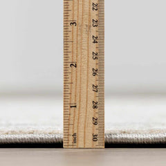 Laughlin Thick Luxe Boutique Rug