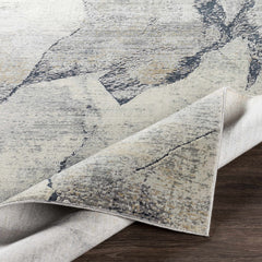 Gasquet Gray Marble Textured Luxe Rug
