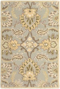 Chesterton Hand Tufted Ivory 1111 Area Rug